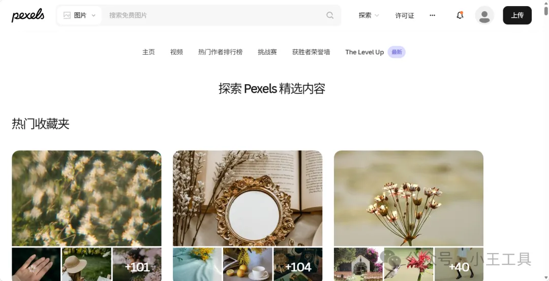 全网都在用的Pexels图库！免费高清无版权，但我不建议你无脑用！
